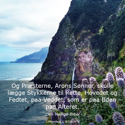 Picture 03 - 3 Mosebog 1:8 DA1871 - Og Præsterne, Arons Sønner, skulle lægge - Bible Verse Picture