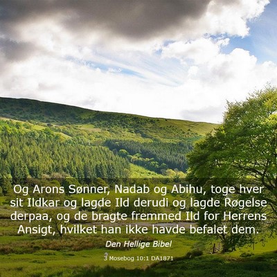 Picture 03 - 3 Mosebog 10:1 DA1871 - Og Arons Sønner, Nadab og Abihu, toge hver sit - Bible Verse Picture