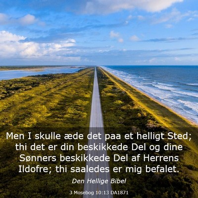 Picture 03 - 3 Mosebog 10:13 DA1871 - Men I skulle æde det paa et helligt Sted; thi - Bible Verse Picture