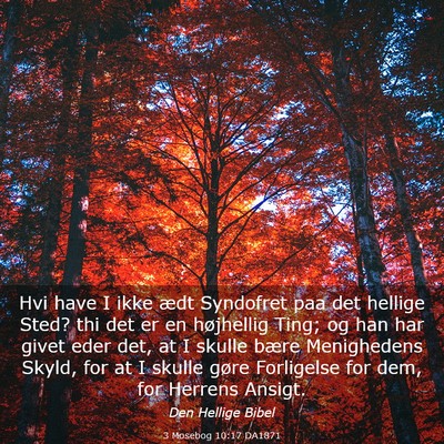 Picture 03 - 3 Mosebog 10:17 DA1871 - Hvi have I ikke ædt Syndofret paa det hellige - Bible Verse Picture