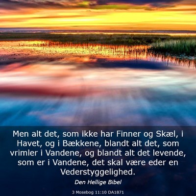 Picture 03 - 3 Mosebog 11:10 DA1871 - Men alt det, som ikke har Finner og Skæl, i - Bible Verse Picture