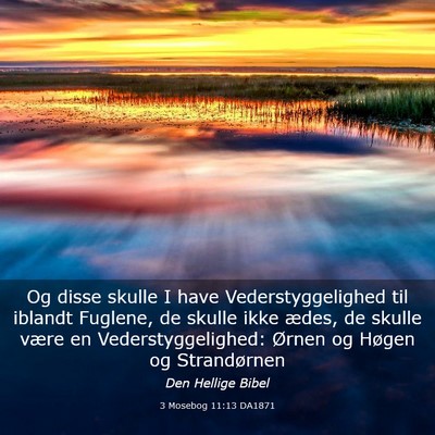 Picture 03 - 3 Mosebog 11:13 DA1871 - Og disse skulle I have Vederstyggelighed til - Bible Verse Picture