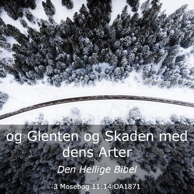 Picture 03 - 3 Mosebog 11:14 DA1871 - og Glenten og Skaden med dens - Bible Verse Picture