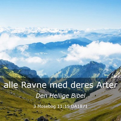 Picture 03 - 3 Mosebog 11:15 DA1871 - alle Ravne med deres - Bible Verse Picture