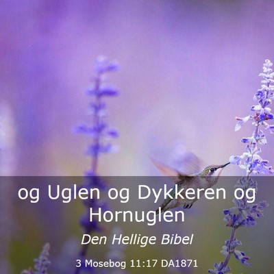 Picture 03 - 3 Mosebog 11:17 DA1871 - og Uglen og Dykkeren og - Bible Verse Picture