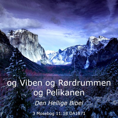 Picture 03 - 3 Mosebog 11:18 DA1871 - og Viben og Rørdrummen og - Bible Verse Picture