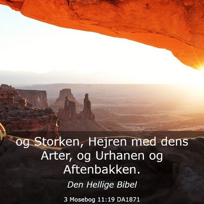Picture 03 - 3 Mosebog 11:19 DA1871 - og Storken, Hejren med dens Arter, og Urhanen og - Bible Verse Picture