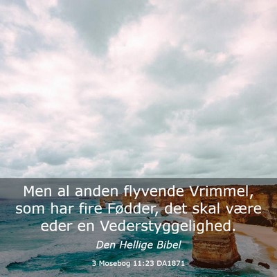 Picture 03 - 3 Mosebog 11:23 DA1871 - Men al anden flyvende Vrimmel, som har fire - Bible Verse Picture