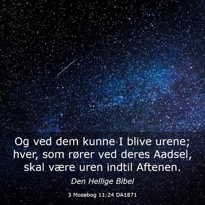 Picture 03 - 3 Mosebog 11:24 DA1871 - Og ved dem kunne I blive urene; hver, som rører - Bible Verse Picture
