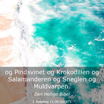 Picture 03 - 3 Mosebog 11:30 DA1871 - og Pindsvinet og Krokodillen og Salamanderen og - Bible Verse Picture