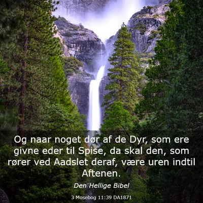 Picture 03 - 3 Mosebog 11:39 DA1871 - Og naar noget dør af de Dyr, som ere givne eder - Bible Verse Picture