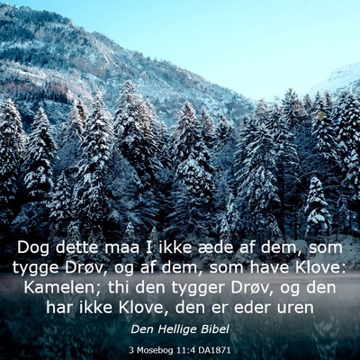 Picture 03 - 3 Mosebog 11:4 DA1871 - Dog dette maa I ikke æde af dem, som tygge - Bible Verse Picture