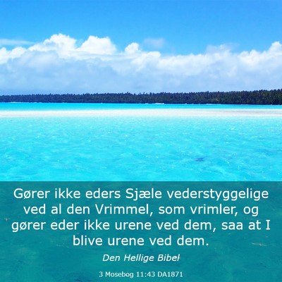 Picture 03 - 3 Mosebog 11:43 DA1871 - Gører ikke eders Sjæle vederstyggelige ved al - Bible Verse Picture