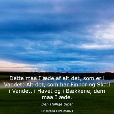 Picture 03 - 3 Mosebog 11:9 DA1871 - Dette maa I æde af alt det, som er i Vandet: Alt - Bible Verse Picture