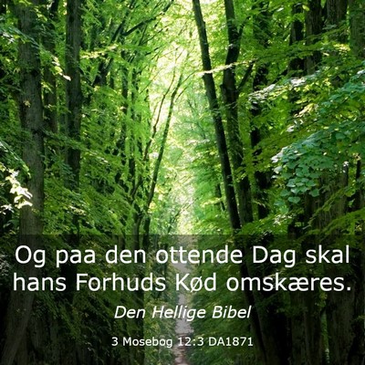 Picture 03 - 3 Mosebog 12:3 DA1871 - Og paa den ottende Dag skal hans Forhuds Kød - Bible Verse Picture