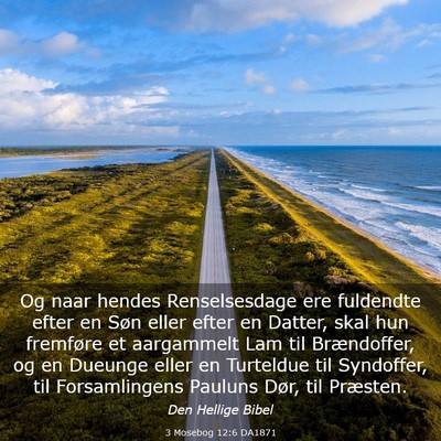 Picture 03 - 3 Mosebog 12:6 DA1871 - Og naar hendes Renselsesdage ere fuldendte efter - Bible Verse Picture