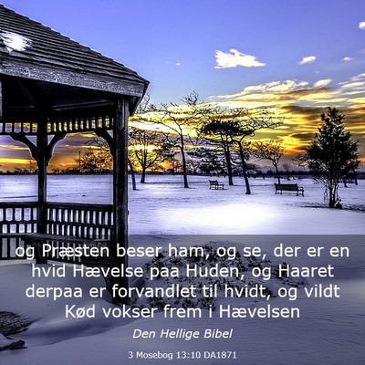 Picture 03 - 3 Mosebog 13:10 DA1871 - og Præsten beser ham, og se, der er en hvid - Bible Verse Picture
