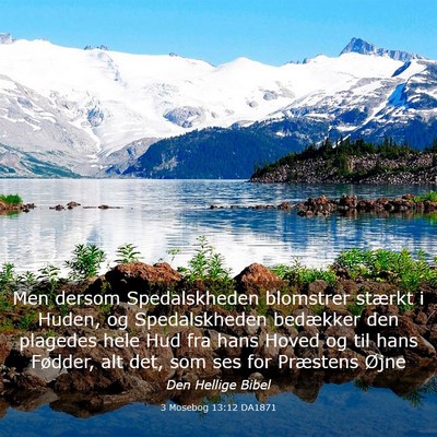 Picture 03 - 3 Mosebog 13:12 DA1871 - Men dersom Spedalskheden blomstrer stærkt i - Bible Verse Picture