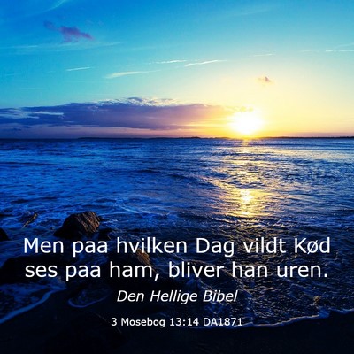 Picture 03 - 3 Mosebog 13:14 DA1871 - Men paa hvilken Dag vildt Kød ses paa ham, - Bible Verse Picture