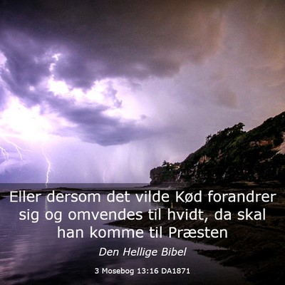 Picture 03 - 3 Mosebog 13:16 DA1871 - Eller dersom det vilde Kød forandrer sig og - Bible Verse Picture