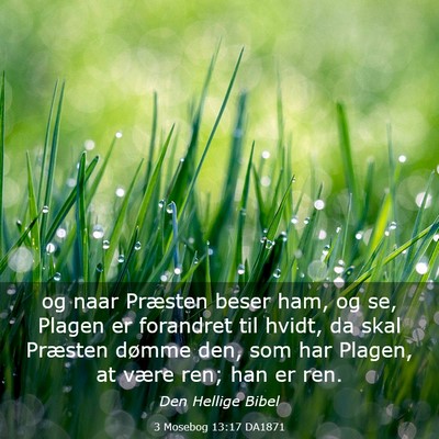 Picture 03 - 3 Mosebog 13:17 DA1871 - og naar Præsten beser ham, og se, Plagen er - Bible Verse Picture