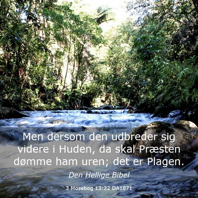 Picture 03 - 3 Mosebog 13:22 DA1871 - Men dersom den udbreder sig videre i Huden, da - Bible Verse Picture