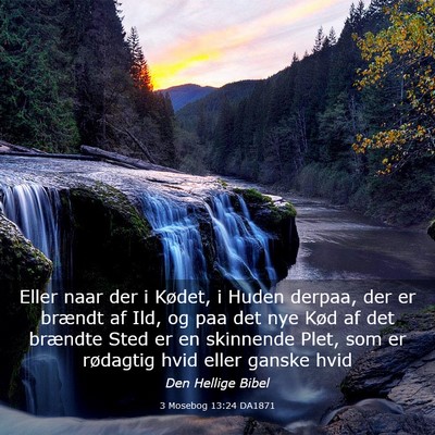 Picture 03 - 3 Mosebog 13:24 DA1871 - Eller naar der i Kødet, i Huden derpaa, der er - Bible Verse Picture