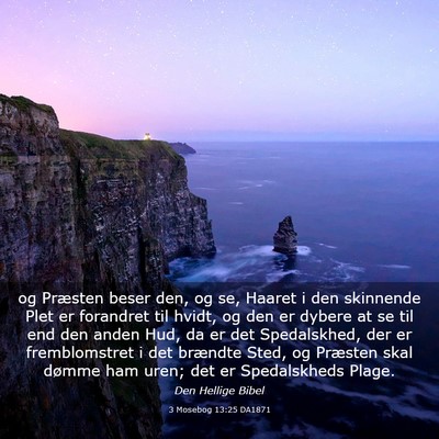Picture 03 - 3 Mosebog 13:25 DA1871 - og Præsten beser den, og se, Haaret i den - Bible Verse Picture