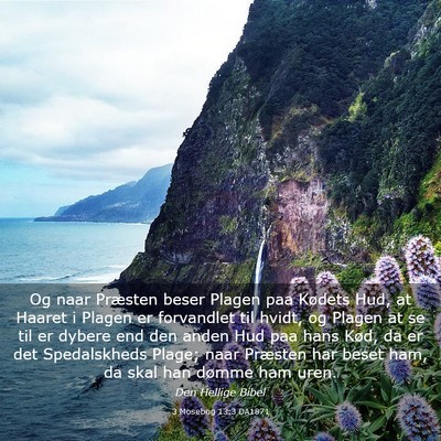 Picture 03 - 3 Mosebog 13:3 DA1871 - Og naar Præsten beser Plagen paa Kødets Hud, at - Bible Verse Picture