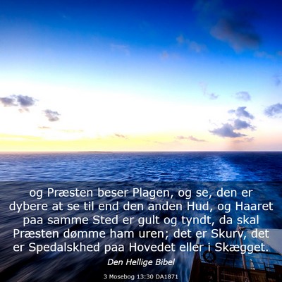Picture 03 - 3 Mosebog 13:30 DA1871 - og Præsten beser Plagen, og se, den er dybere at - Bible Verse Picture