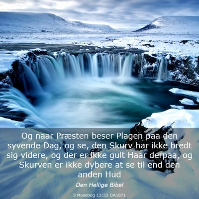 Picture 03 - 3 Mosebog 13:32 DA1871 - Og naar Præsten beser Plagen paa den syvende - Bible Verse Picture
