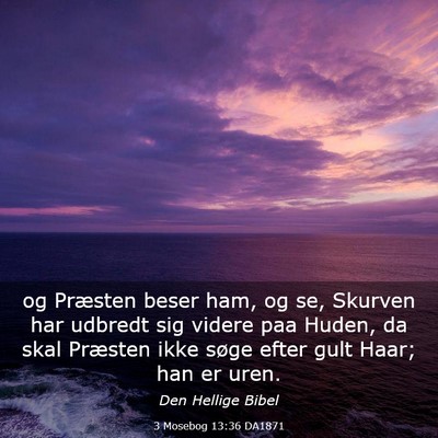 Picture 03 - 3 Mosebog 13:36 DA1871 - og Præsten beser ham, og se, Skurven har udbredt - Bible Verse Picture