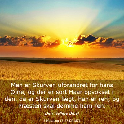 Picture 03 - 3 Mosebog 13:37 DA1871 - Men er Skurven uforandret for hans Øjne, og der - Bible Verse Picture