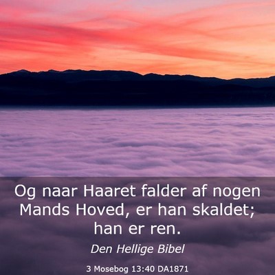 Picture 03 - 3 Mosebog 13:40 DA1871 - Og naar Haaret falder af nogen Mands Hoved, er - Bible Verse Picture