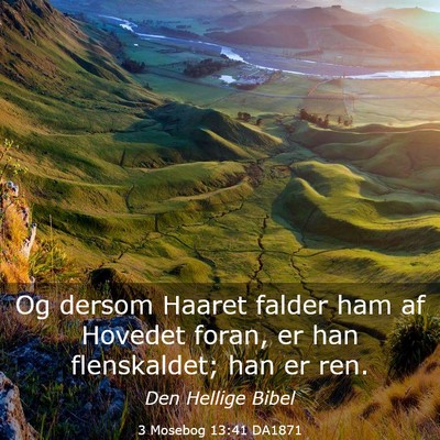 Picture 03 - 3 Mosebog 13:41 DA1871 - Og dersom Haaret falder ham af Hovedet foran, er - Bible Verse Picture