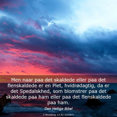 Picture 03 - 3 Mosebog 13:42 DA1871 - Men naar paa det skaldede eller paa det - Bible Verse Picture
