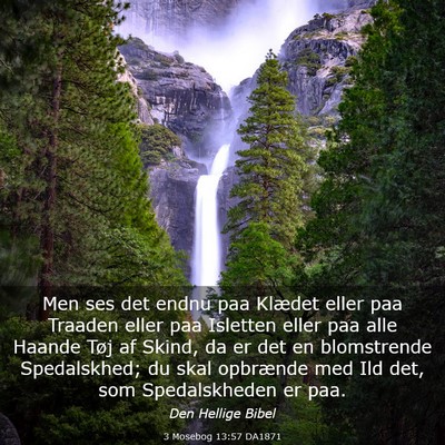 Picture 03 - 3 Mosebog 13:57 DA1871 - Men ses det endnu paa Klædet eller paa Traaden - Bible Verse Picture