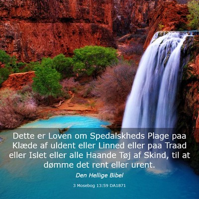 Picture 03 - 3 Mosebog 13:59 DA1871 - Dette er Loven om Spedalskheds Plage paa Klæde - Bible Verse Picture