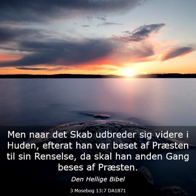 Picture 03 - 3 Mosebog 13:7 DA1871 - Men naar det Skab udbreder sig videre i Huden, - Bible Verse Picture