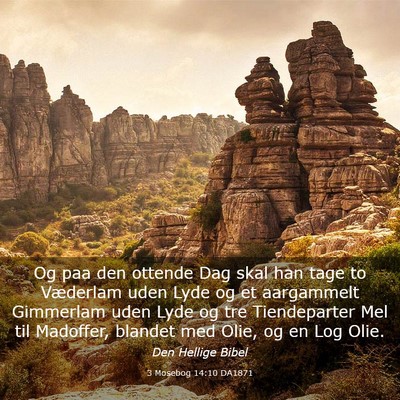 Picture 03 - 3 Mosebog 14:10 DA1871 - Og paa den ottende Dag skal han tage to Væderlam - Bible Verse Picture