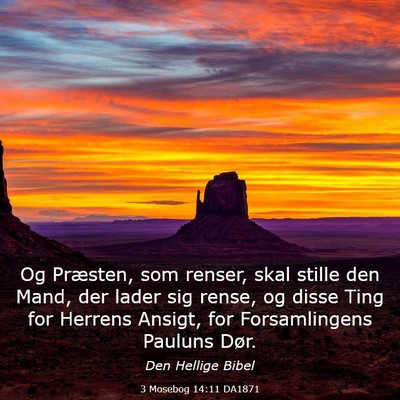 Picture 03 - 3 Mosebog 14:11 DA1871 - Og Præsten, som renser, skal stille den Mand, - Bible Verse Picture