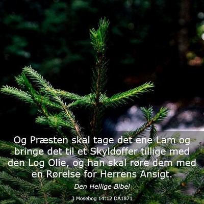 Picture 03 - 3 Mosebog 14:12 DA1871 - Og Præsten skal tage det ene Lam og bringe det - Bible Verse Picture