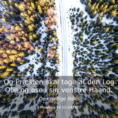Picture 03 - 3 Mosebog 14:15 DA1871 - Og Præsten skal tage af den Log Olie og øse i - Bible Verse Picture
