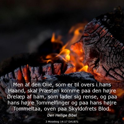 Picture 03 - 3 Mosebog 14:17 DA1871 - Men af den Olie, som er til overs i hans Haand, - Bible Verse Picture