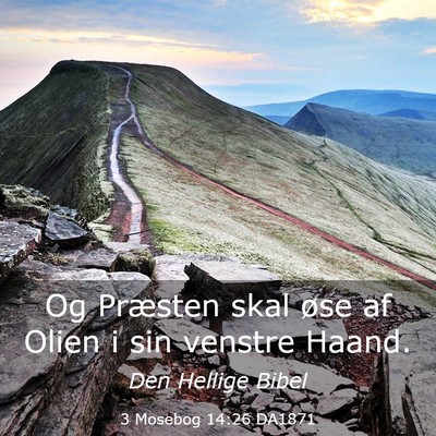 Picture 03 - 3 Mosebog 14:26 DA1871 - Og Præsten skal øse af Olien i sin venstre - Bible Verse Picture