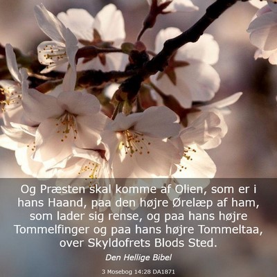 Picture 03 - 3 Mosebog 14:28 DA1871 - Og Præsten skal komme af Olien, som er i hans - Bible Verse Picture