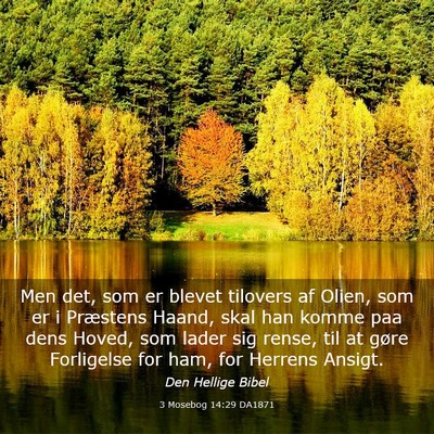 Picture 03 - 3 Mosebog 14:29 DA1871 - Men det, som er blevet tilovers af Olien, som er - Bible Verse Picture