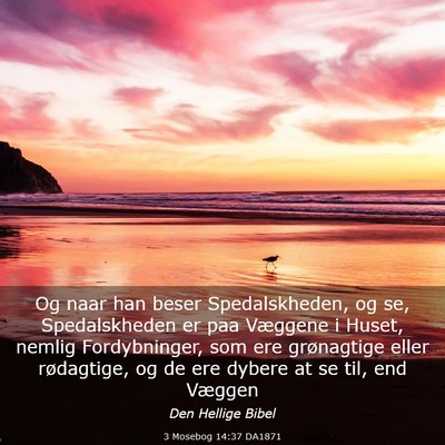 Picture 03 - 3 Mosebog 14:37 DA1871 - Og naar han beser Spedalskheden, og se, - Bible Verse Picture