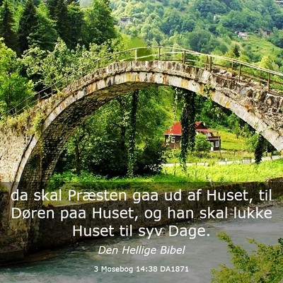 Picture 03 - 3 Mosebog 14:38 DA1871 - da skal Præsten gaa ud af Huset, til Døren paa - Bible Verse Picture