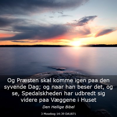 Picture 03 - 3 Mosebog 14:39 DA1871 - Og Præsten skal komme igen paa den syvende Dag; - Bible Verse Picture